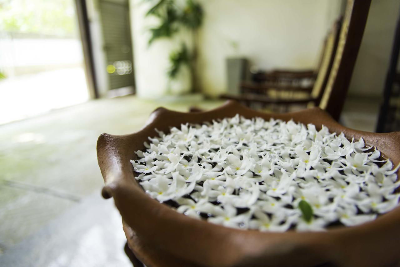 Hotel Sunshine Colombo Eksteriør bilde